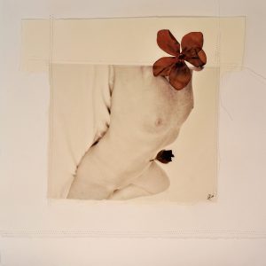 9 ANTHROPOS 2020 - 40 x 40 cm - foto su carta cotone- fiore essicato - patchwork carta cotone su tela.