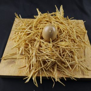 CONDIVISIONE (30x27xH15cm) Nastro-carta, legno, uovo, resina.