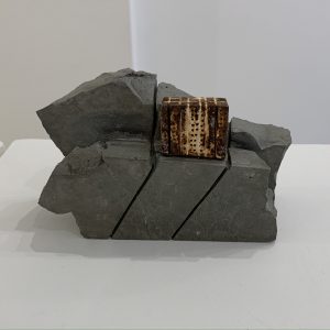Mauro Pinotti 3
