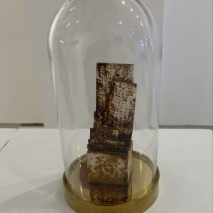 Mauro Pinotti 4