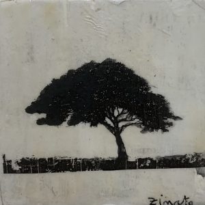 ZINATO ANNA a
